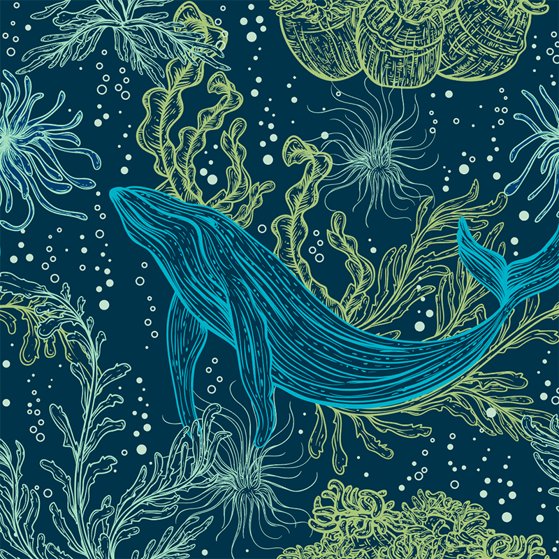 20oz-tkwide-with-twist-cap-ocean-day-m1 20oz_tkwide_bottle_seasonal_ocean_day_blue_whale_artwork_square.png