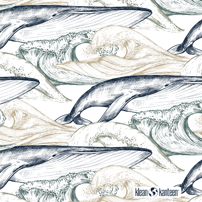 20oz-tkwide-with-twist-cap-ocean-day-m1 20oz_tkwide_bottle_seasonal_ocean_day_whale_artwork_square.png