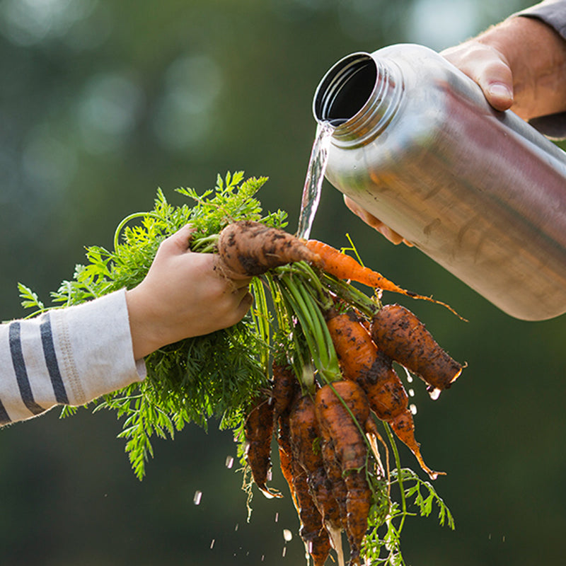 64oz-wide-with-loop-cap-g6 64oz_wide_mouth_bottle_carrots_rinse_square.jpg