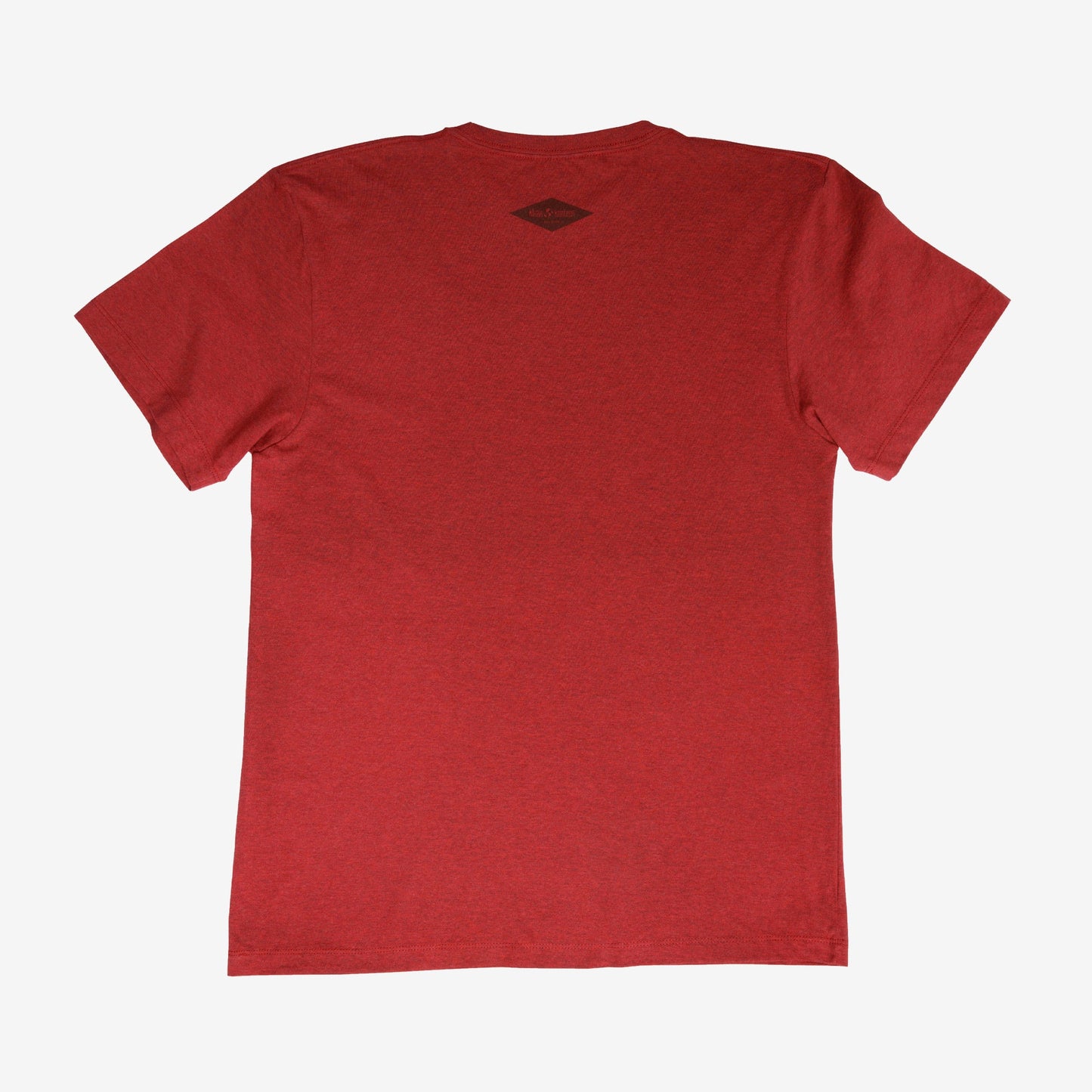 backyard-t-shirt-h2 Shirt_Mtn_Back.jpg